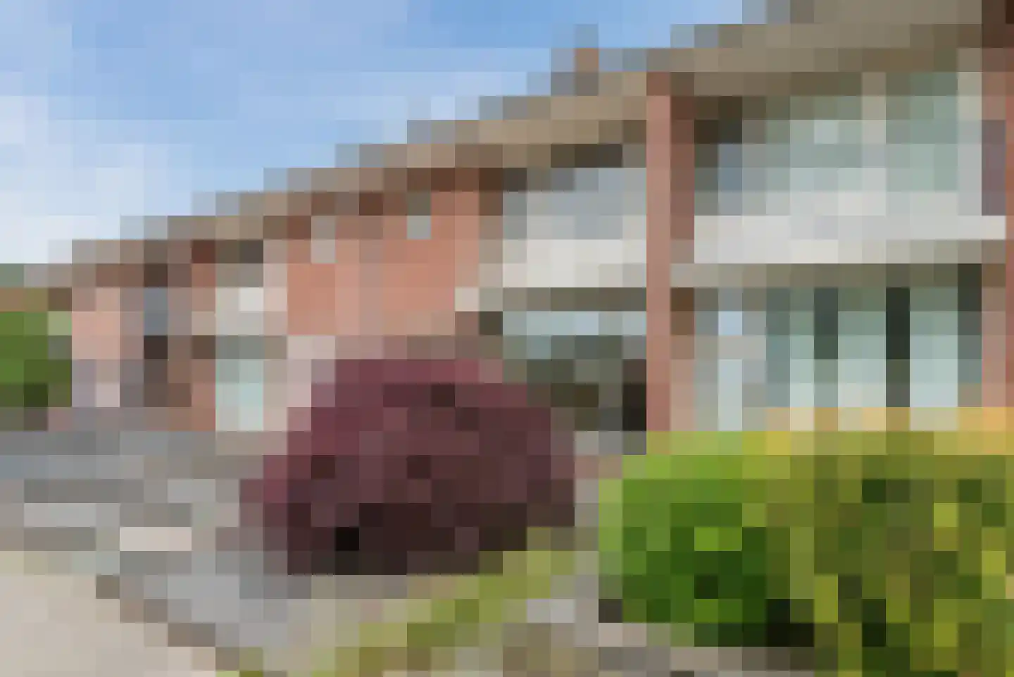 Vezelstraat 15 Reusel thumbnail 39