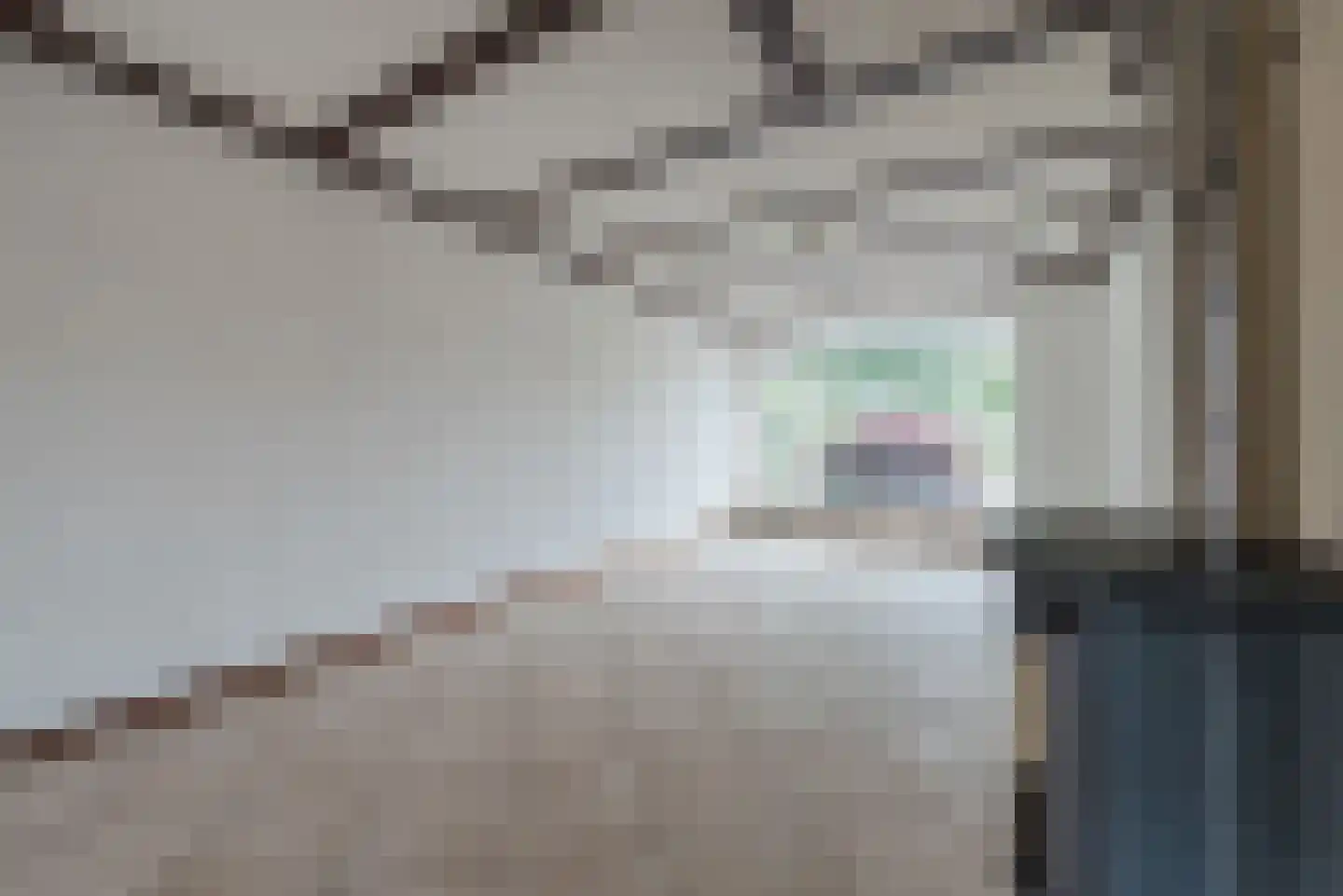 Vezelstraat 15 Reusel thumbnail 6