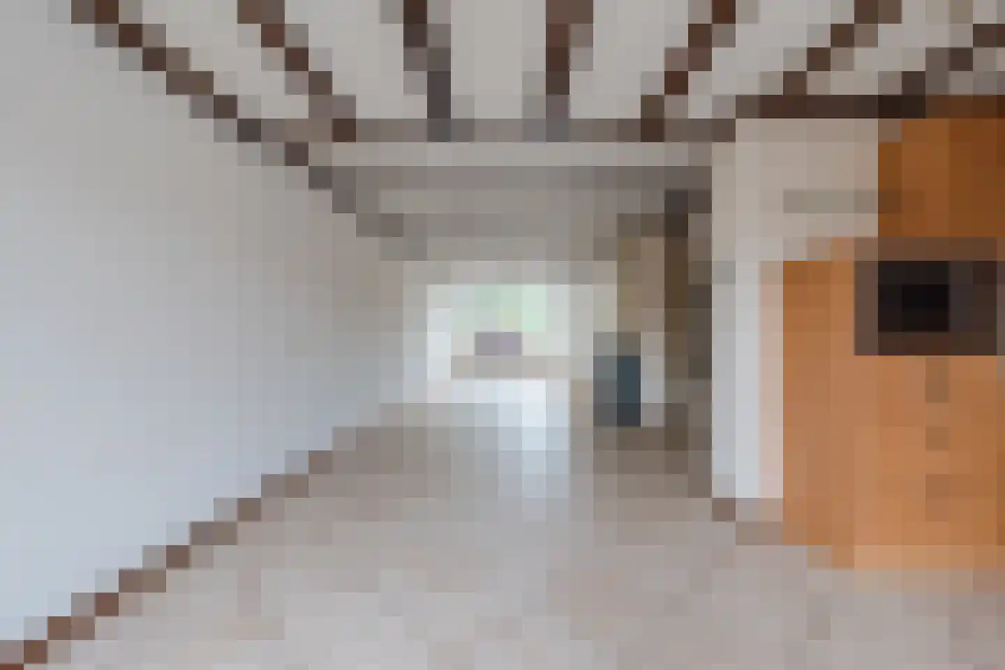 Vezelstraat 15 Reusel thumbnail 8