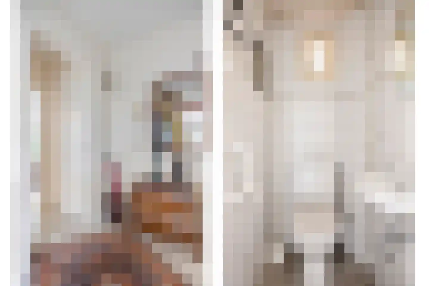 Vezelstraat 16 Oss thumbnail 18