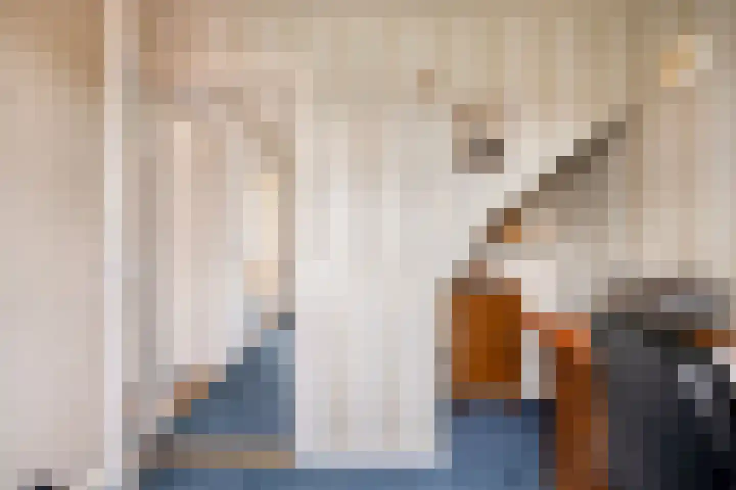 Vezelstraat 16 Oss thumbnail 19