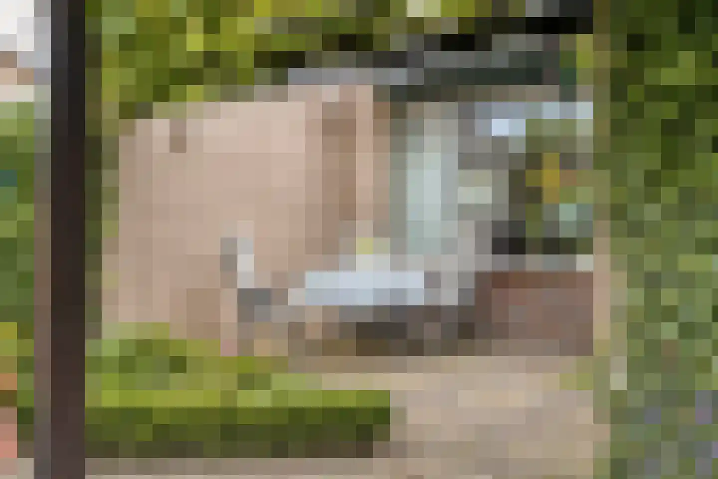 Vezelstraat 16 Oss thumbnail 30