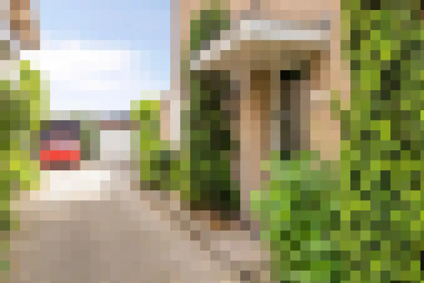 Vezelstraat 16 Oss thumbnail 32