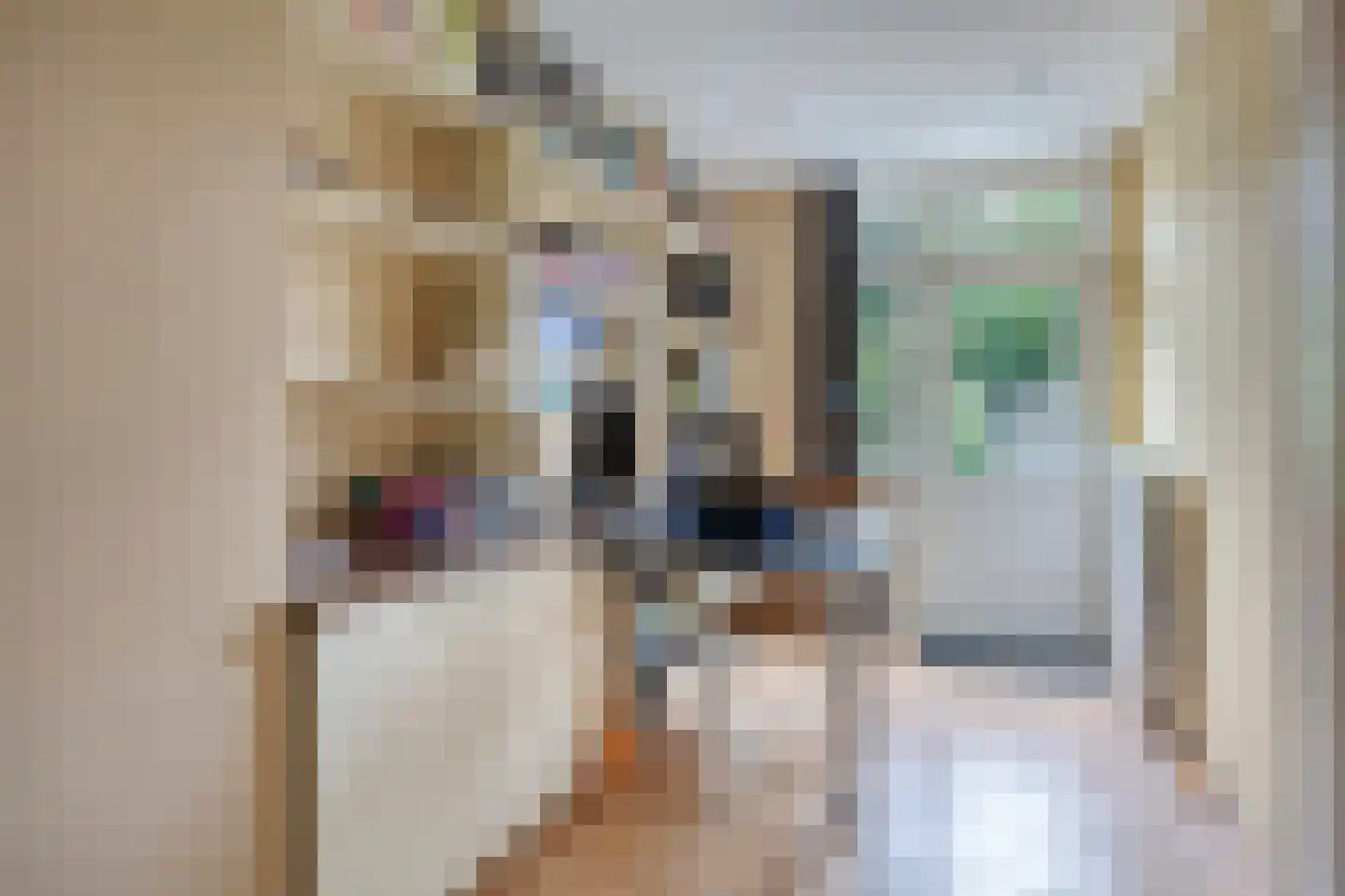 Vezelstraat 17 Oss thumbnail 14