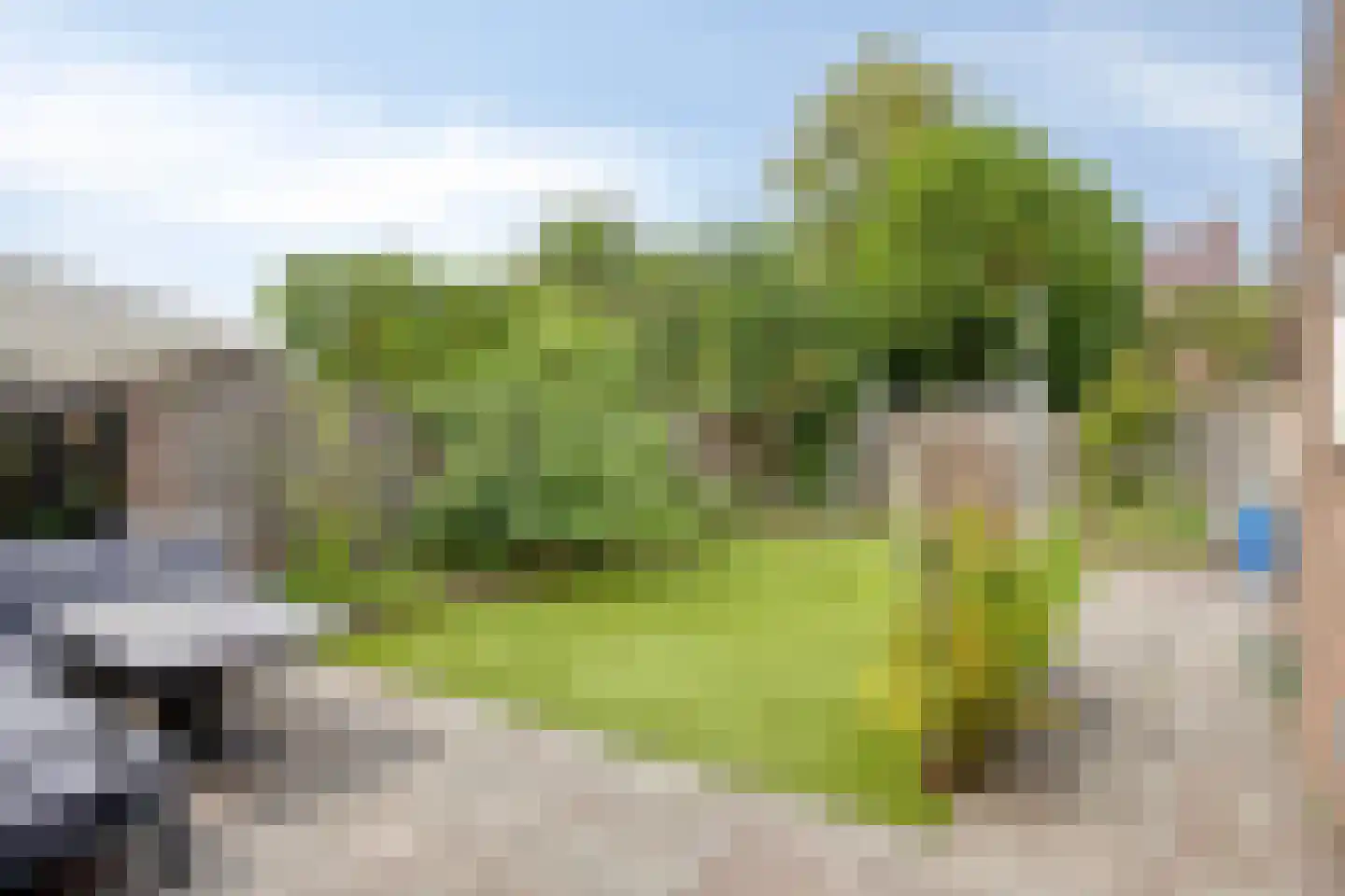 Vezelstraat 17 Oss thumbnail 17