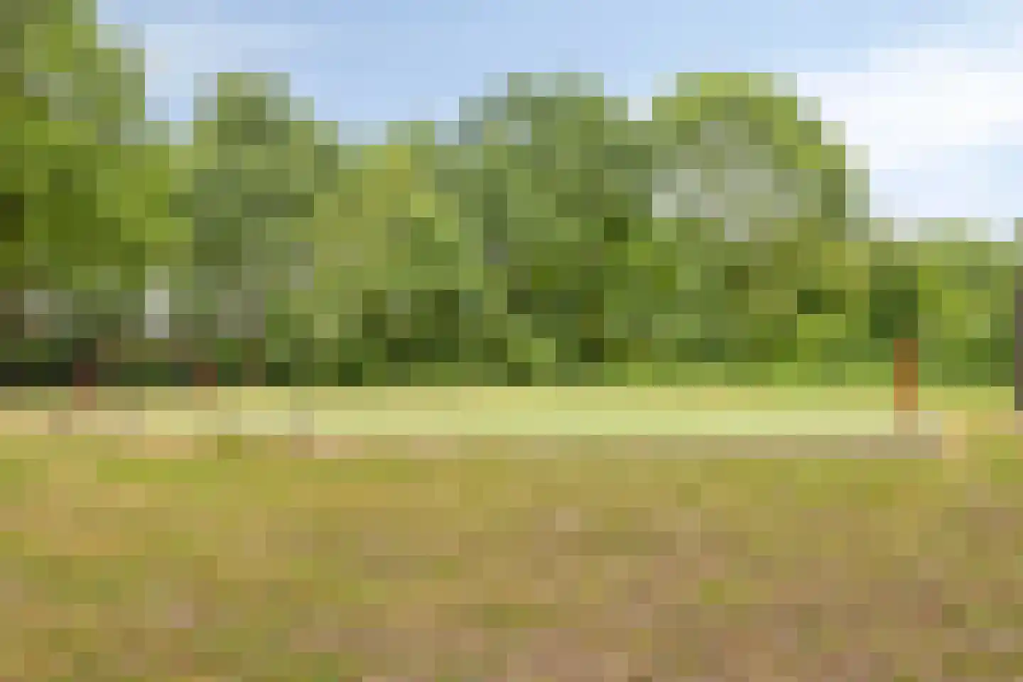 Vezelstraat 17 Oss thumbnail 34