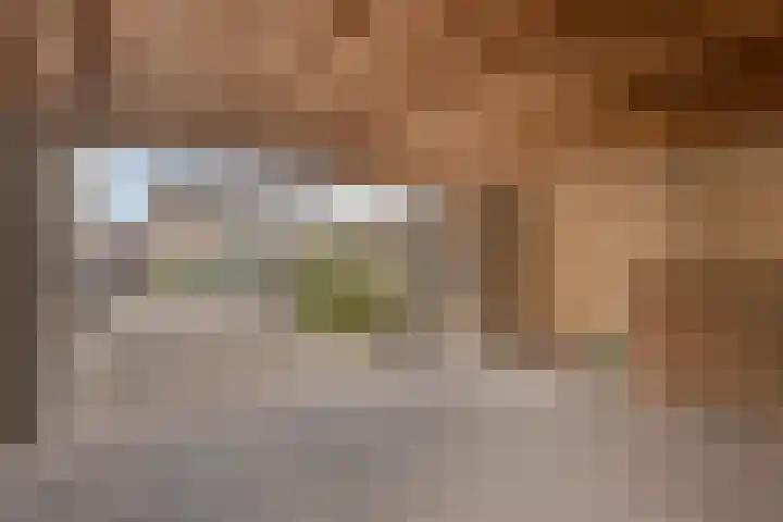 Vezelstraat 17 Zeeland thumbnail 30