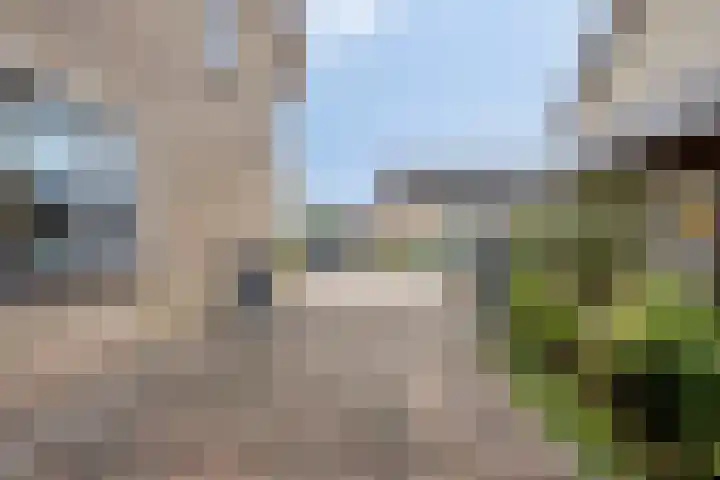 Vezelstraat 17 Zeeland thumbnail 31