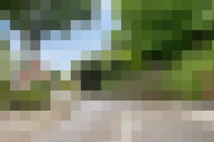 Vezelstraat 17 Zeeland thumbnail 38