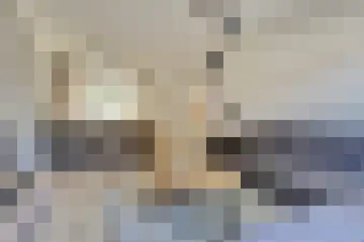 Vezelstraat 30 Oss thumbnail 10