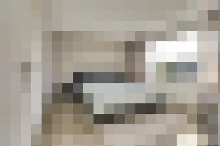 Vezelstraat 30 Oss thumbnail 18