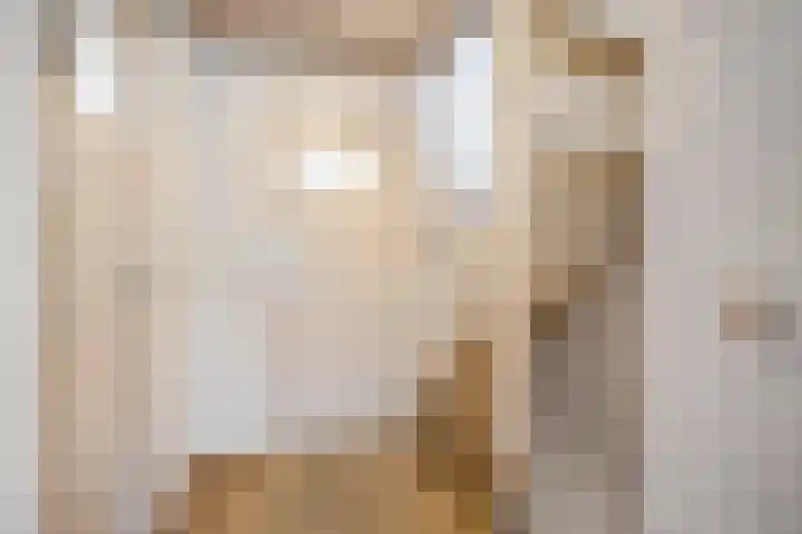 Vezelstraat 33 Oss thumbnail 17