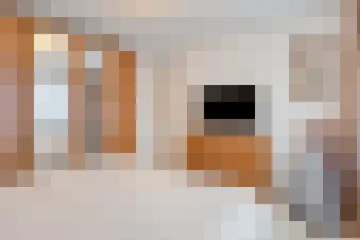 Vezelstraat 33 Oss thumbnail 19