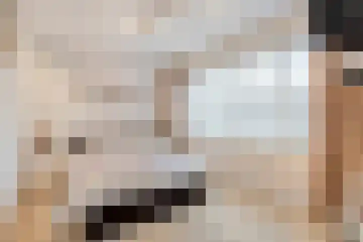 Vezelstraat 33 Oss thumbnail 20