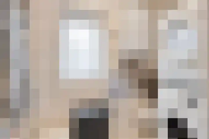 Vezelstraat 33 Oss thumbnail 22