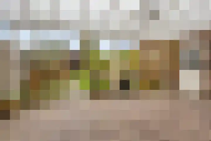 Vezelstraat 33 Oss thumbnail 25