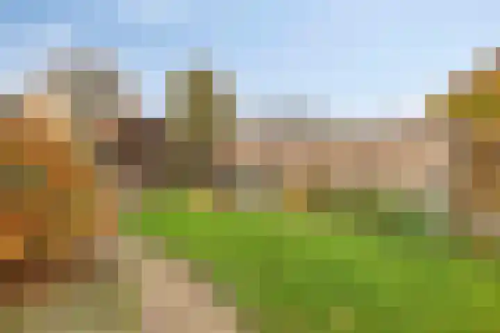 Vezelstraat 33 Oss thumbnail 26