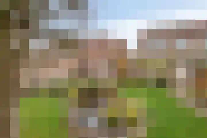 Vezelstraat 33 Oss thumbnail 27