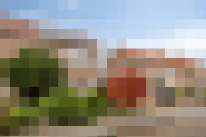 Vezelstraat 33 Oss thumbnail 30