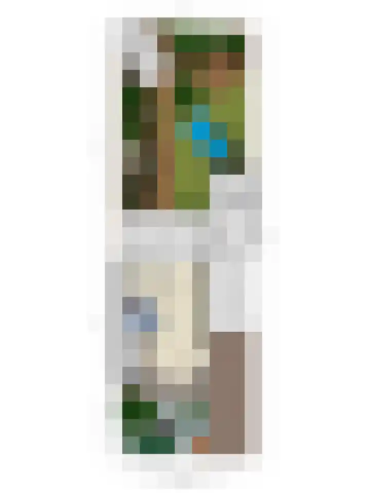 Vezelstraat 33 Oss thumbnail 32