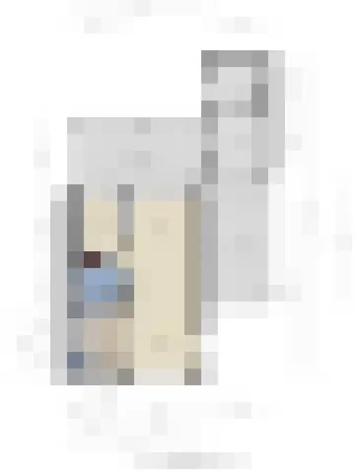Vezelstraat 33 Oss thumbnail 34