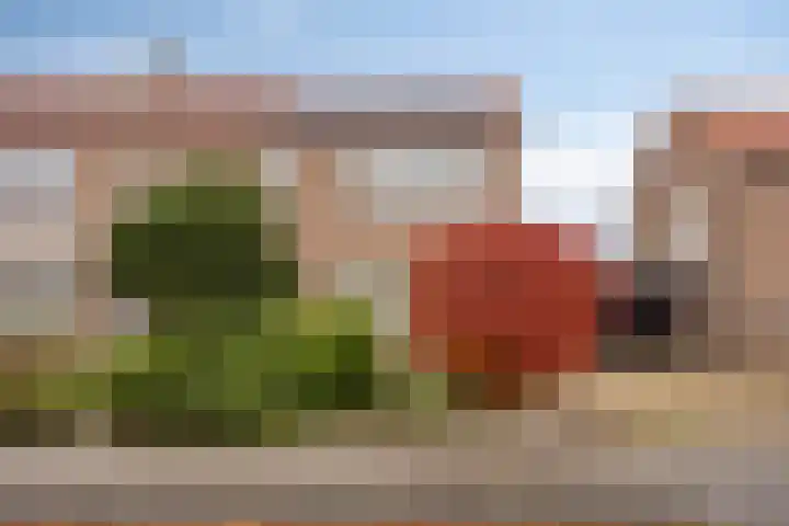 Vezelstraat 33 Oss thumbnail 6
