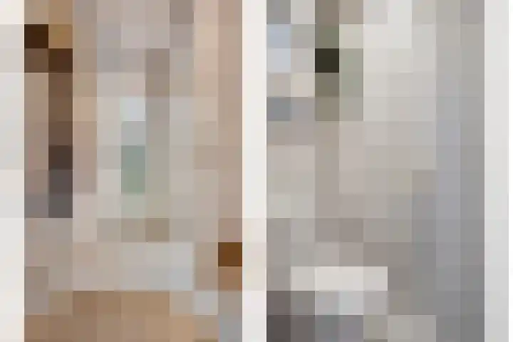 Vezelstraat 33 Oss thumbnail 7