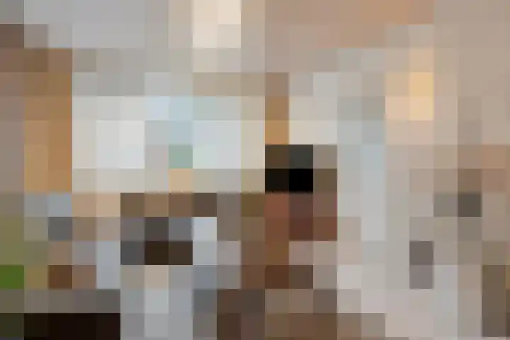 Vezelstraat 33 Oss thumbnail 8