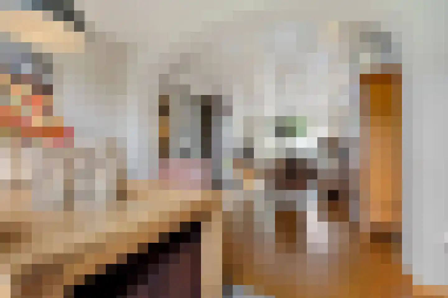 Vezelstraat 9 Oss thumbnail 13