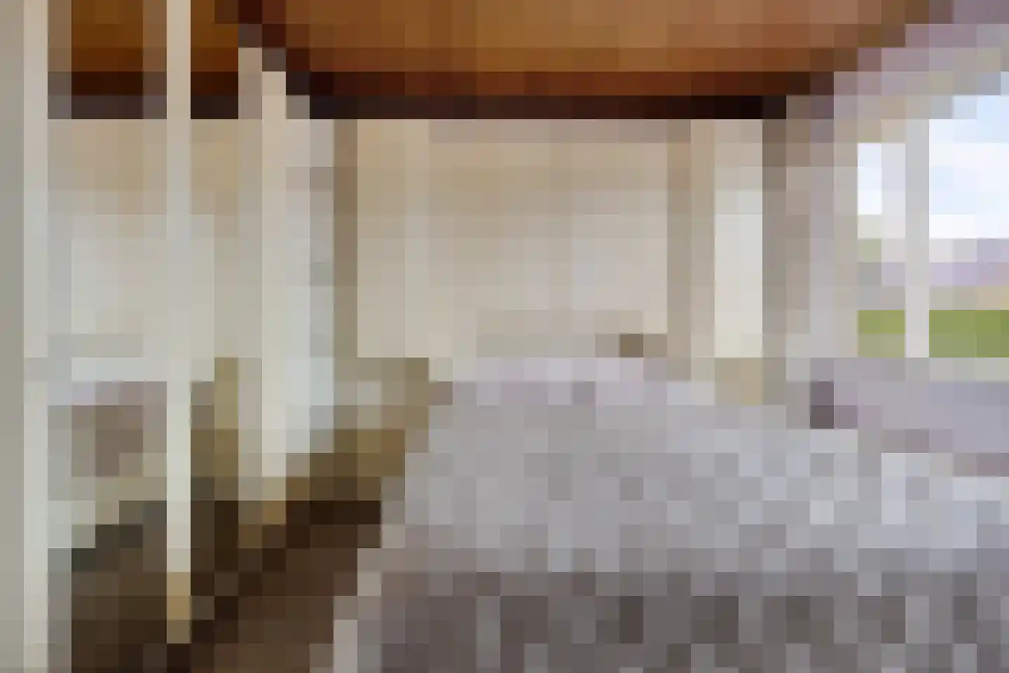 Vezelstraat 9 Oss thumbnail 19