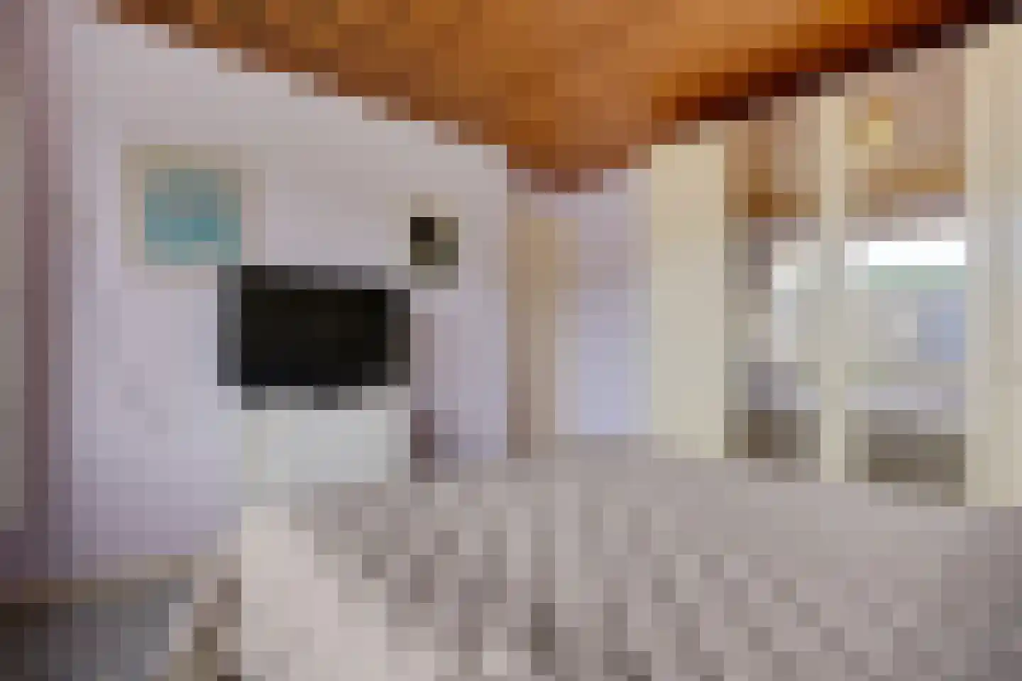 Vezelstraat 9 Oss thumbnail 20