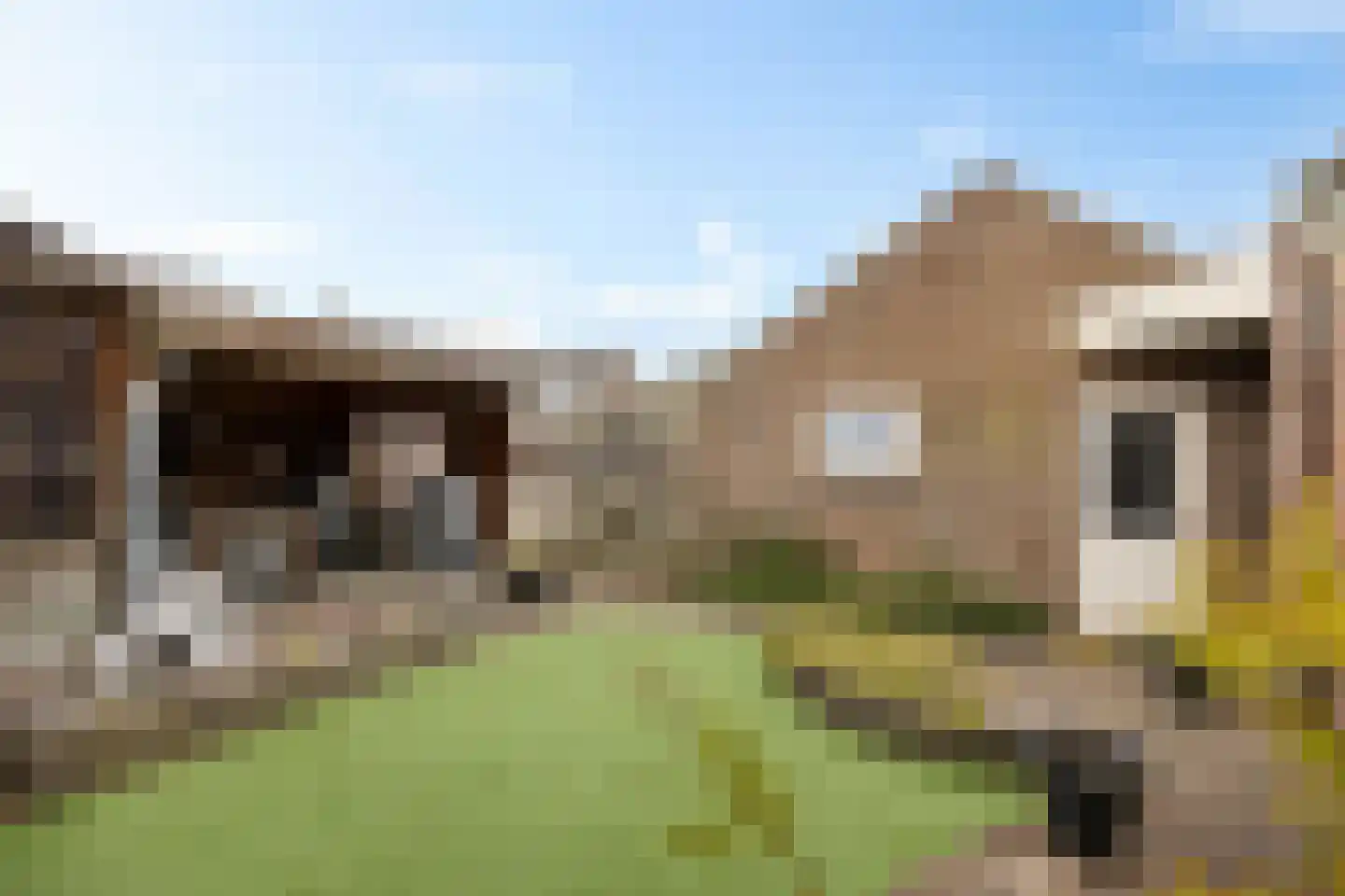Vezelstraat 9 Oss thumbnail 34