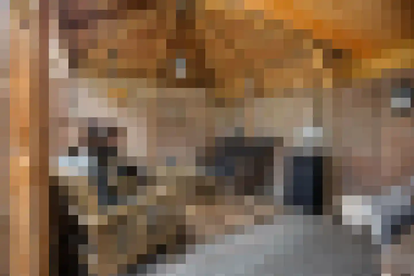 Vezelstraat 9 Oss thumbnail 36