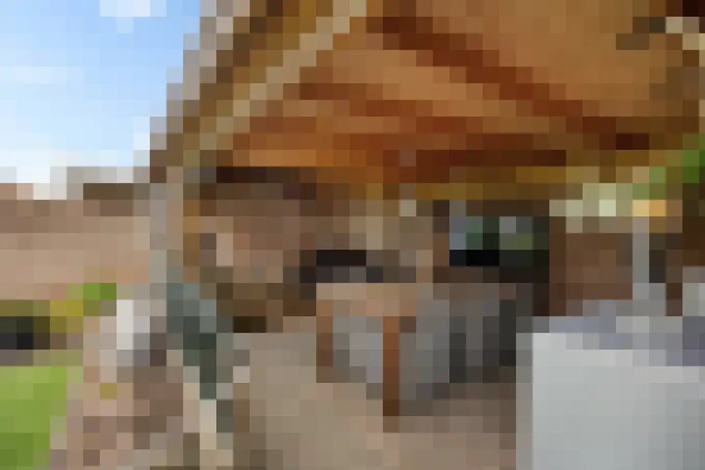Vezelstraat 9 Oss thumbnail 4