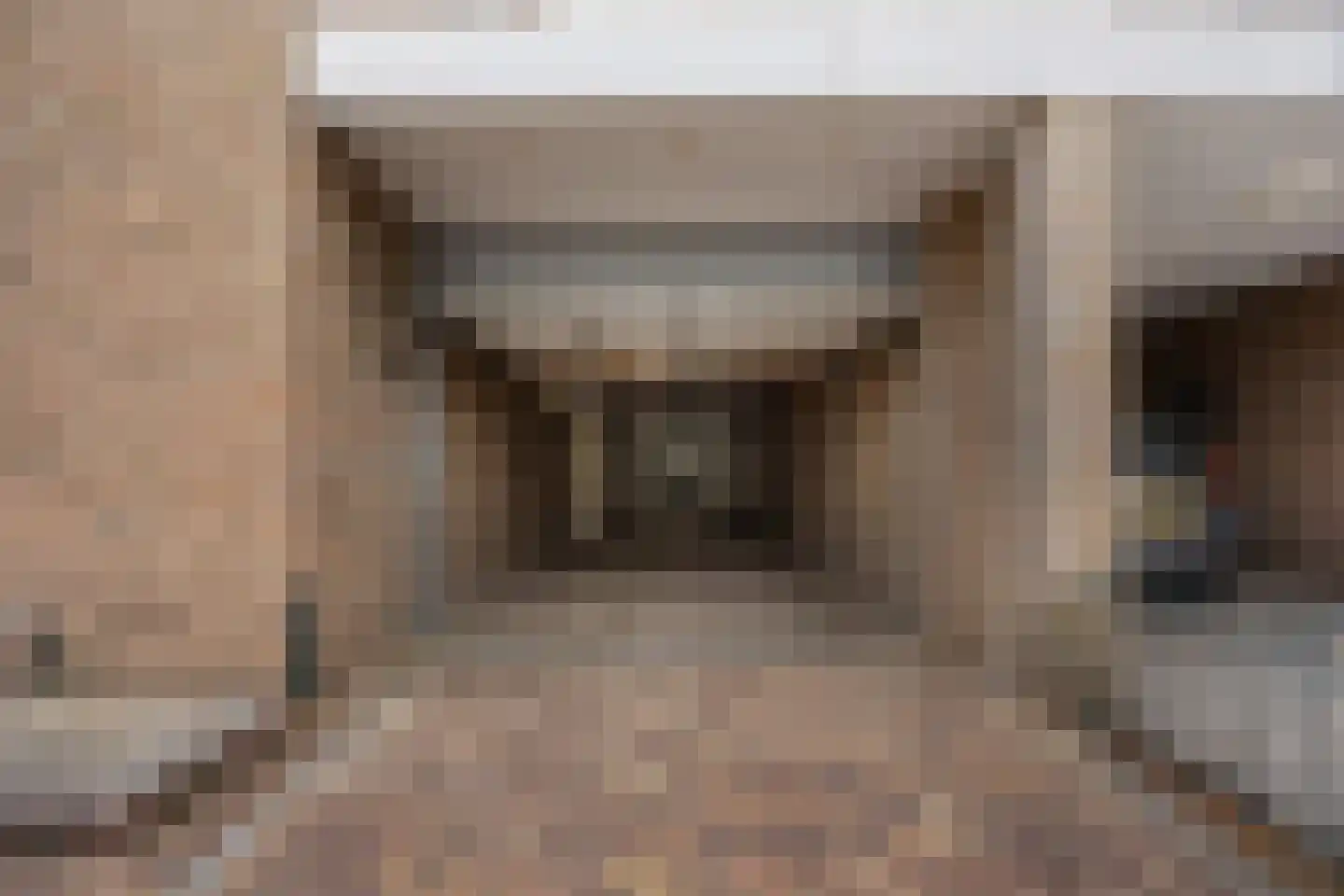 Vezelstraat 9 Oss thumbnail 41