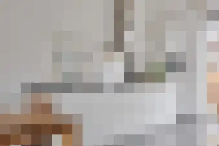 Vezelvlas 9 Asten thumbnail 17