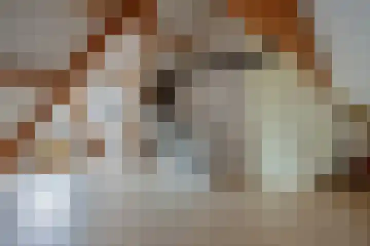 Vezelvlas 9 Asten thumbnail 28