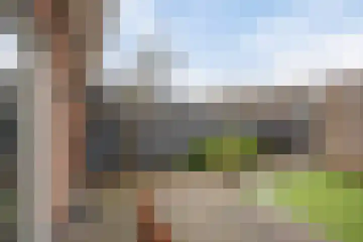 Vezelvlas 9 Asten thumbnail 30