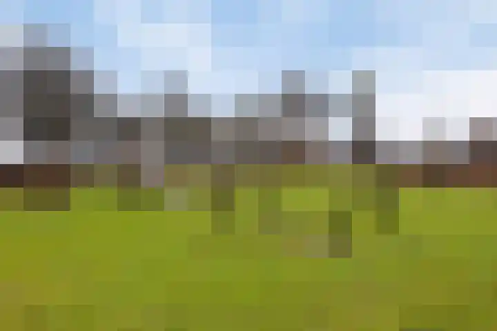 Vezelvlas 9 Asten thumbnail 34