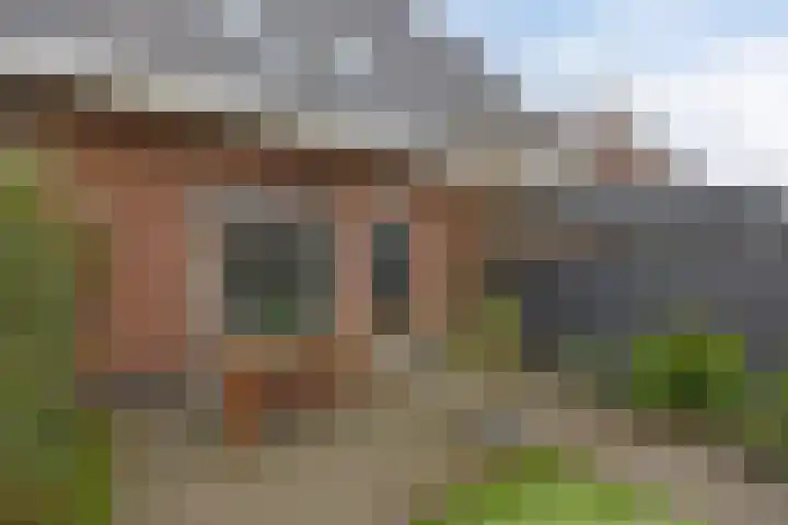 Vezelvlas 9 Asten thumbnail 4