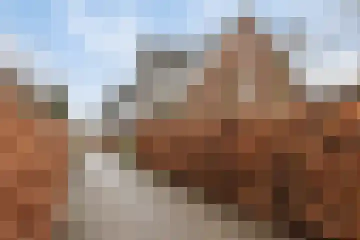 Vezelvlas 9 Asten thumbnail 6