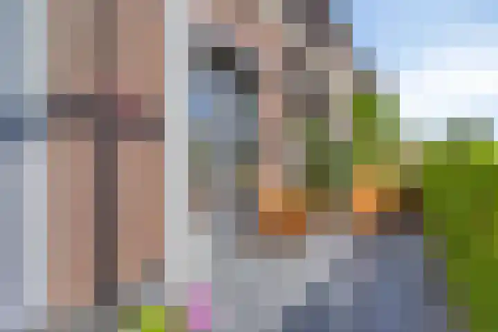 Via Alosta 21 Elst thumbnail 10