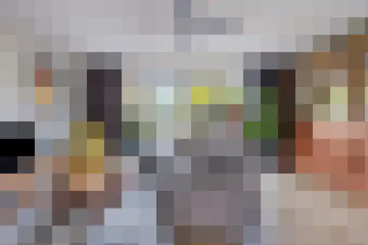 Via Alosta 21 Elst thumbnail 16