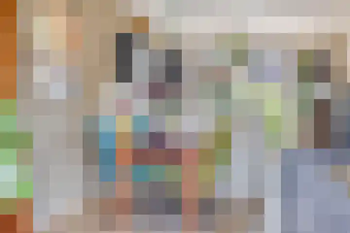 Via Alosta 21 Elst thumbnail 19
