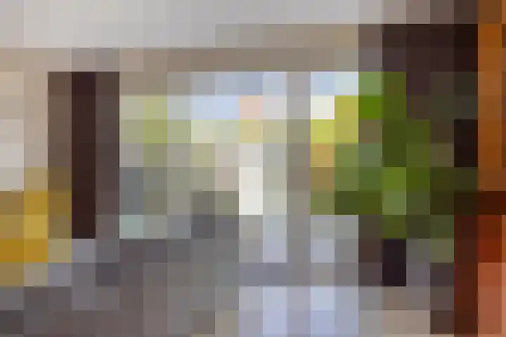 Via Alosta 21 Elst thumbnail 20