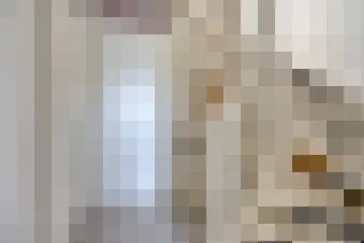 Via Alosta 21 Elst thumbnail 26