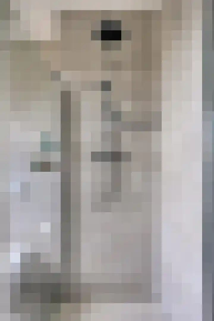 Via Alosta 21 Elst thumbnail 31