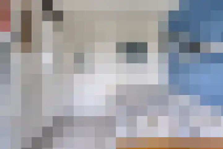 Via Alosta 21 Elst thumbnail 33