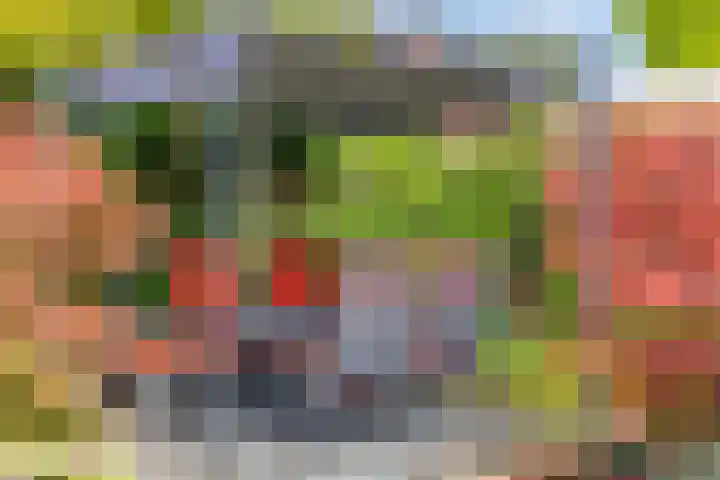 Via Alosta 21 Elst thumbnail 42