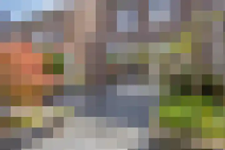 Via Alosta 21 Elst thumbnail 43
